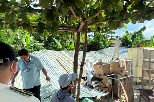 Xử lý điểm du lịch trái phép ù lì trên rừng Hải Vân