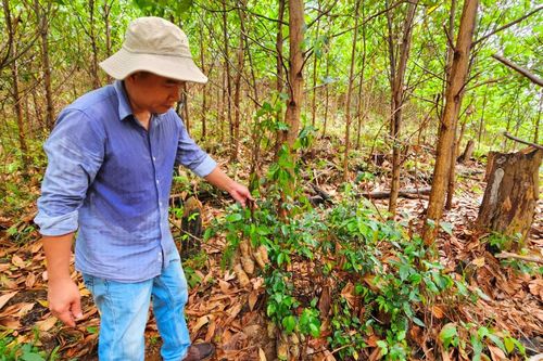 Quảng Nam đề nghị kiểm tra, xử lý nội dung Chuyên đề Công an TP Đà Nẵng phản ánh