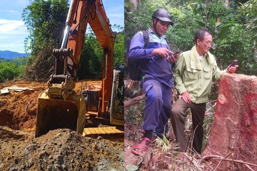 Chủ quan, nóng vội hay xem thường pháp luật?