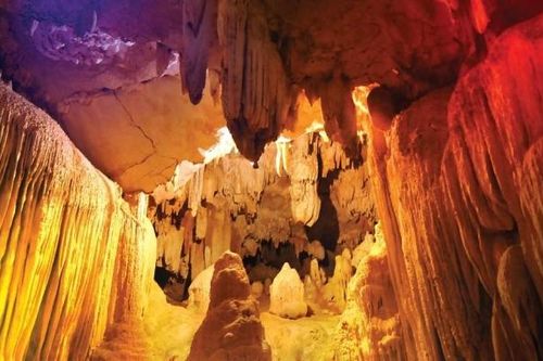 Về xứ sở của các loài chim chiêm ngưỡng hệ thống 'Cung điện trong lòng đất'