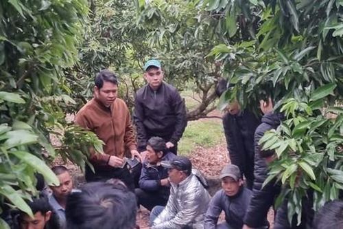Phá sới bạc lớn trong vườn vải thiều ở Bắc Giang