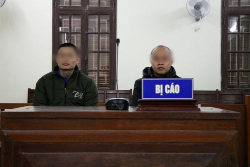 Hai đối tượng rủ nhau cướp giật tài sản lĩnh án