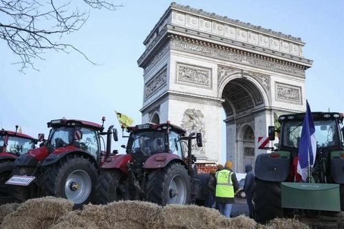 Cảnh sát Pháp bắt giữ hàng chục người biểu tình ở Paris