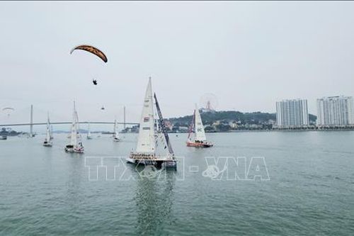 11 đội đua thuyền buồm vòng quanh thế giới Clipper Race xuất phát chặng đua mới