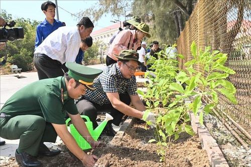 Sôi động các hoạt động hướng về biên giới, biển đảo