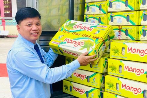 Xoài An Giang chinh phục nhiều thị trường quốc tế khó tính