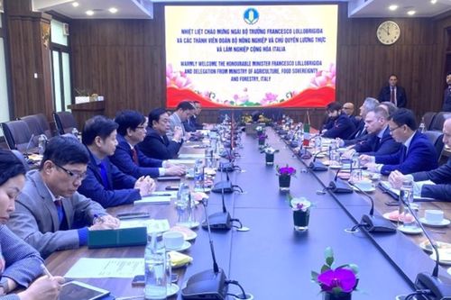 Việt Nam và Italia tăng cường hợp tác thúc đẩy thương mại nông sản