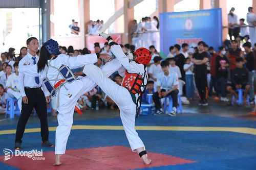 Gần 290 VĐV tranh tài môn taekwondo Hội khỏe Phù Đổng tỉnh lần thứ XI
