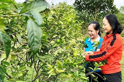 Tâm huyết với công tác Hội