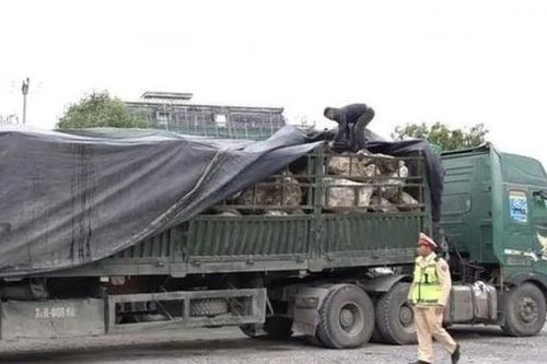 Nghệ An: Phát hiện hơn 480 tấn đá thạch anh không có hóa đơn chứng từ