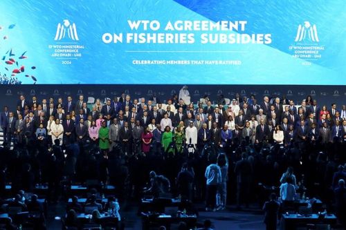Hội nghị Bộ trưởng lần thứ 13: WTO chưa vượt qua cơn gió ngược