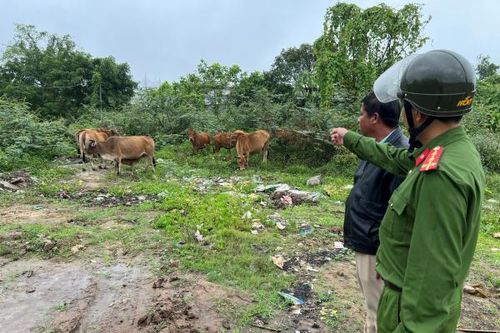 Kẻ trộm 12 con bò là... chủ quán bê thui