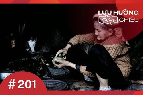 Vị ngọt lòng bà