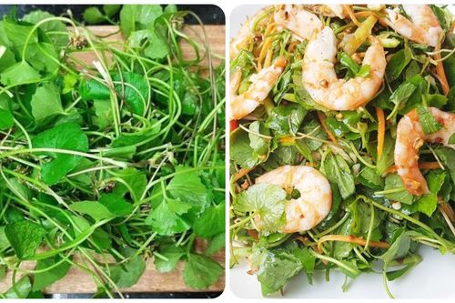 Rau má rất tốt nhưng 'đại kỵ' với những nhóm người sau