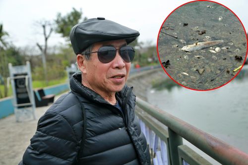 Cá chết bốc mùi hôi thối, người dân nghi ngờ hồ bị xả dầu thải