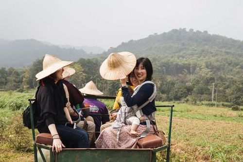 Cần cơ chế đặc thù cho du lịch nông nghiệp, nông thôn phát triển:Bài cuối: Phát triển du lịch nông nghiệp gắn với nền nông nghiệp đa giá trị