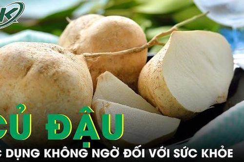 Tác dụng của củ đậu đối với sức khỏe