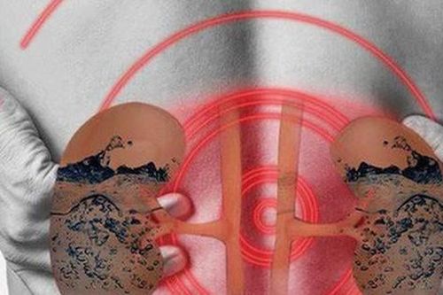 Ai có nguy cơ bị bệnh thận mạn tính, bạn có thuộc nhóm nguy cơ mắc không?
