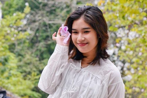 Ngắm hoa ban Tây Bắc giữa lòng Thủ đô