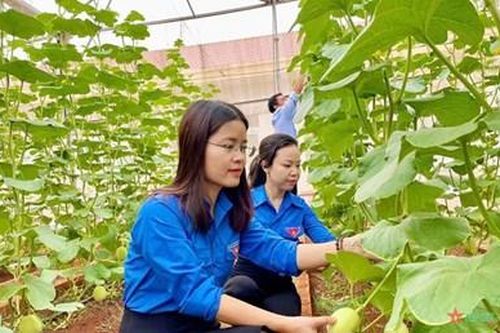 Bình Phước đẩy mạnh ứng dụng khoa học, chuyển đổi số trong nông nghiệp