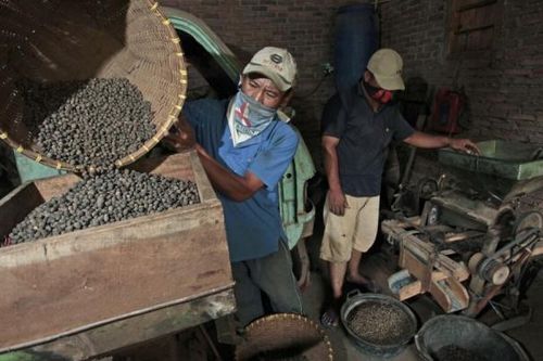 Bloomberg: Việt Nam, Indonesia tăng nhập khẩu cà phê từ Brazil