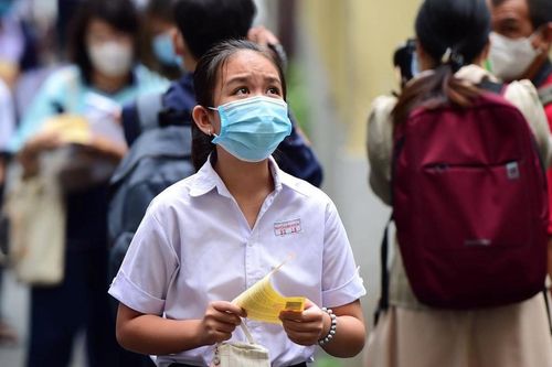 Bài mẫu viết thư UPU lần 53: Mong thế giới bạn kế thừa không còn nạn phá rừng