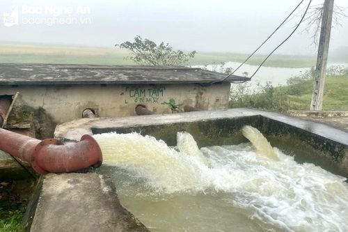 Các huyện dọc sông Lam chủ động bơm tích trữ nước để dành tưới lúa xuân