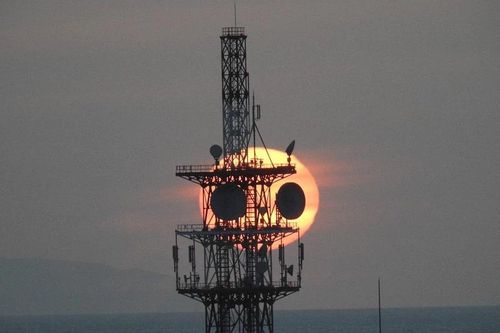 Người dân Nhật Bản háo hức chào đón hiện tượng 'gấu trúc hoàng hôn' kỳ thú