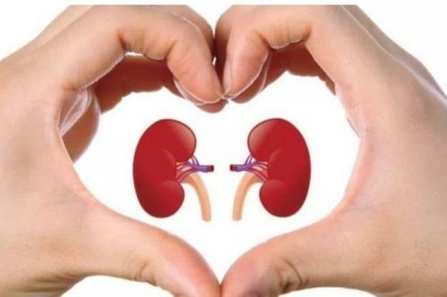 5 thói quen tốt vào buổi sáng giúp thận luôn khỏe mạnh
