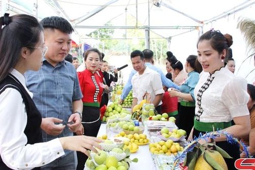 Mường La phát triển cây ăn quả theo hướng bền vững