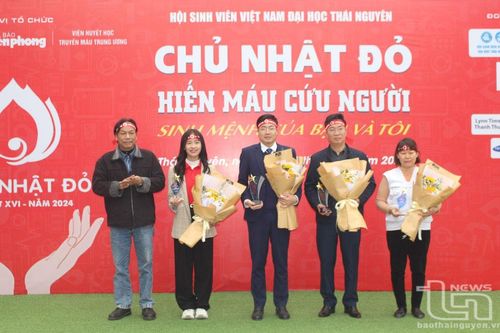 Tiếp nhận hơn 900 đơn vị máu trong Ngày Chủ nhật đỏ
