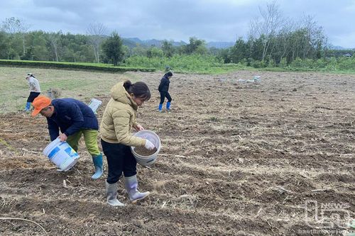 Nông dân Võ Nhai tất bật với vụ xuân
