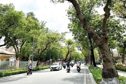 Đặc sản của Huế