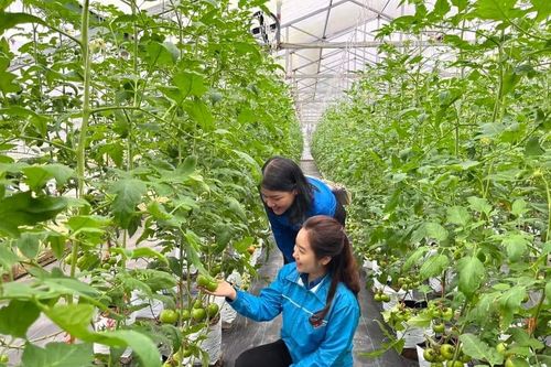 Nam Định: Tạo nguồn lực cho phát triển nông nghiệp, nông thôn bền vững