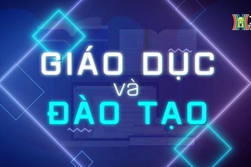 Xây dựng trường học xanh - trường học công viên| Giáo dục và Đào tạo | 03/03/2024