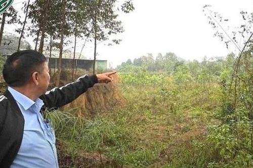 8 chị em gái kiện trưởng nam vì mất phần trong 6.000m2 đất thừa kế
