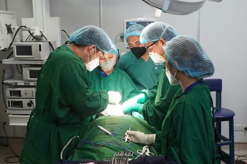 Hai bệnh viện ở TP.HCM báo động đỏ cứu mẹ con sản phụ