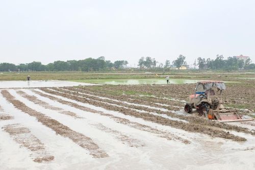 Sóc Sơn thu hồi hơn 800ha đất nông nghiệp phục vụ các dự án phát triển