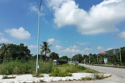 Thanh Hóa: Năm 2024 dự kiến đấu giá hơn 586 hec ta đất