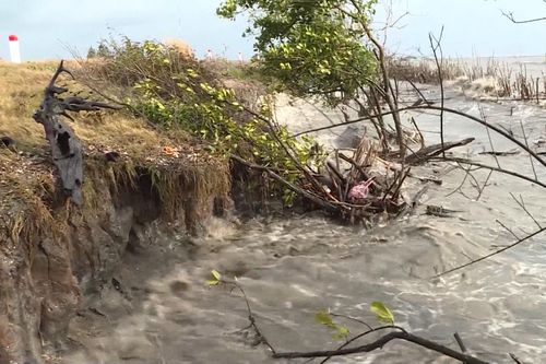 Cà Mau cần hơn 31.000 tỷ đồng để ứng phó sạt lở bờ biển, bờ sông