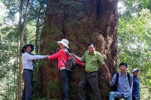 Cõi mơ vườn quốc gia Bidoup-Núi Bà
