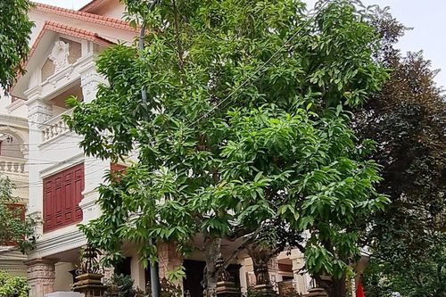Từ chuyện 6 cán bộ bị kỷ luật, cần giải mã khối tài sản khủng của ông Đỗ Hữu Ca
