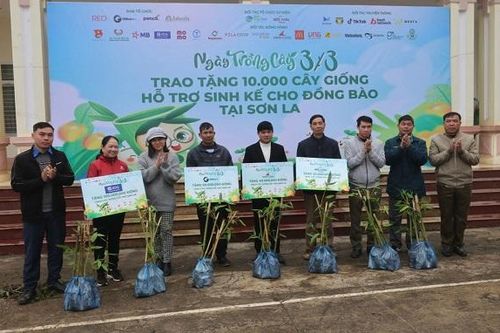 Tặng cây giống tre măng Bát Độ hỗ trợ sinh kế cho người dân Sơn La