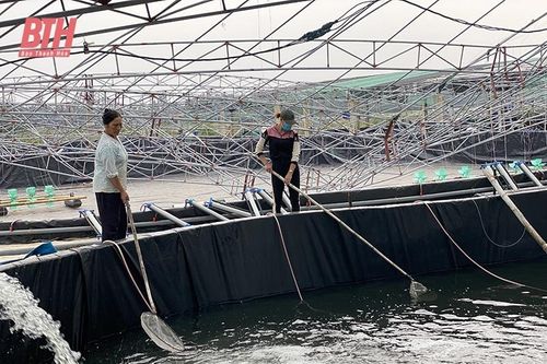Tập trung phát triển các sản phẩm nông nghiệp chủ lực