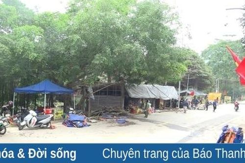Vận động hàng chục hộ dân tự tháo dỡ lều quán trước cửa đền Phố Cát