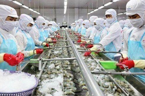 Đơn hàng chậm lại, doanh thu tháng 2 của Sao Ta giảm 16%