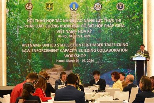 Việt Nam và Hoa Kỳ hợp tác nâng cao năng lực chống buôn bán gỗ trái phép