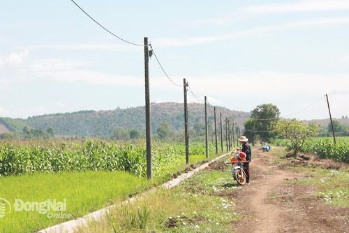 Sản xuất nông nghiệp ứng phó với nắng nóng, khô hạn