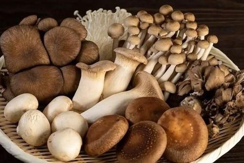 Khi ăn nấm, nhớ cho kỹ những lưu ý này kẻo ngộ độc chết người