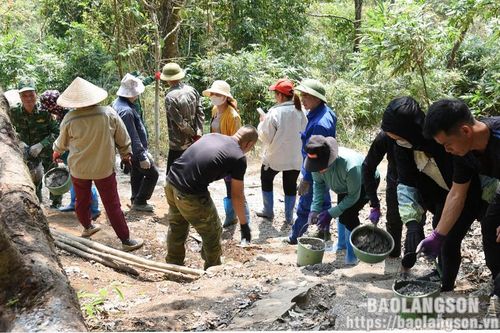 Tràng Định thực hiện hiệu quả công tác phối hợp quản lý, bảo vệ biên giới